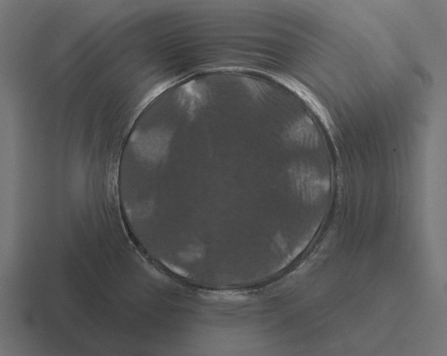 X0000116281337200912291345