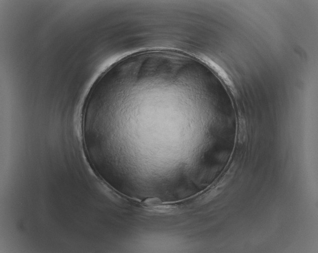 X0000116281342200912291345