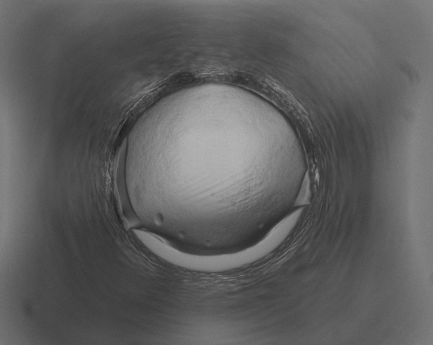 X0000116281348200912291345