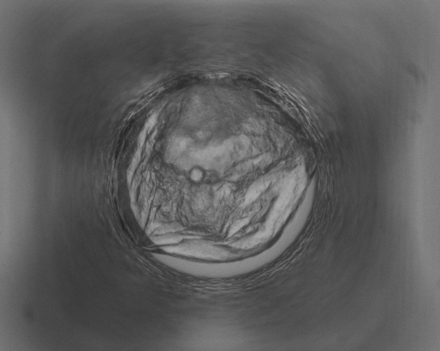 X0000116281349200912291345