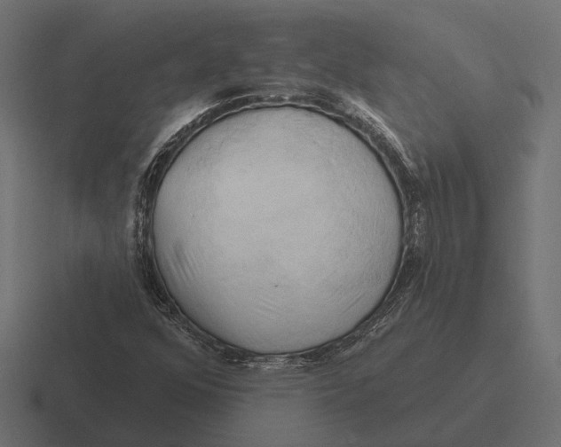 X0000116281352200912291345
