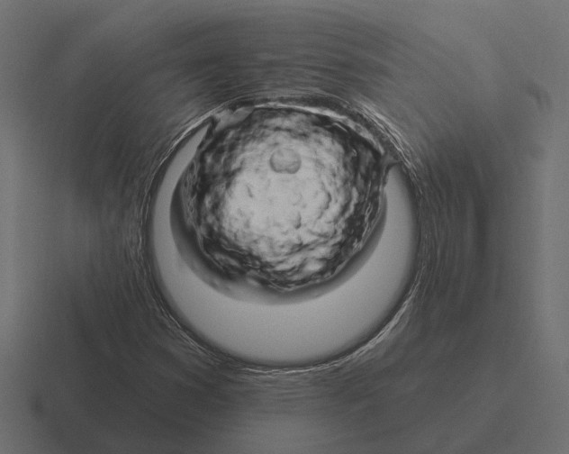 X0000116281353200912291345