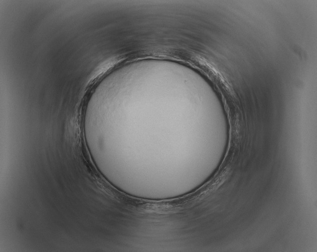 X0000116281354200912291345