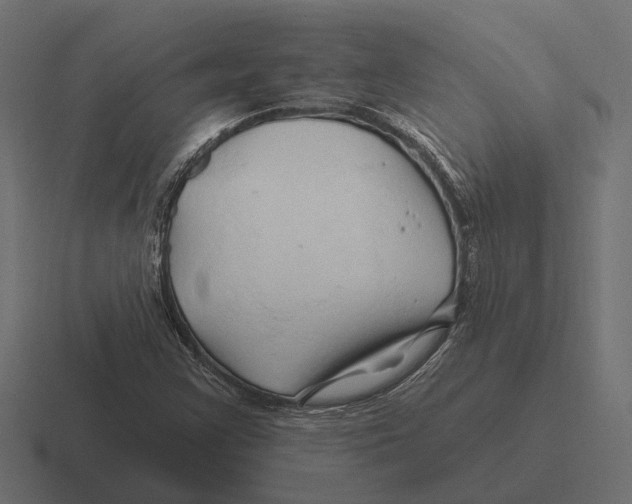 X0000116281355200912291345