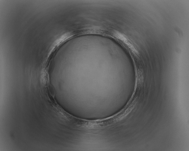 X0000116281357200912291345