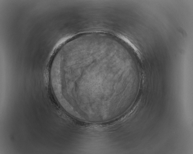 X0000116281358200912291345