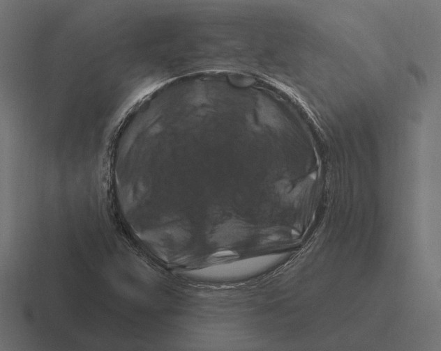 X0000116281359200912291345