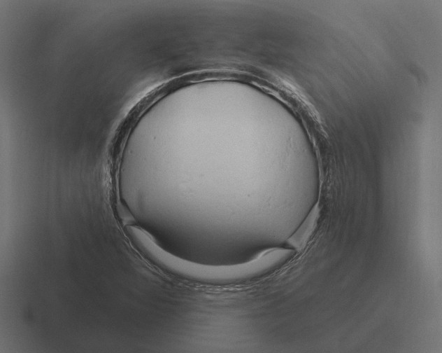 X0000116281360200912291345