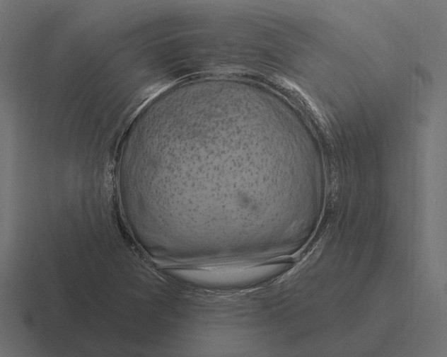 X0000116281361200912291345