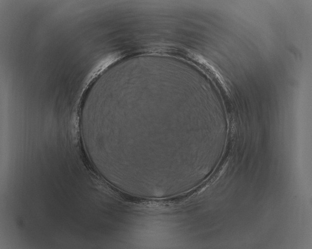 X0000116281362200912291345