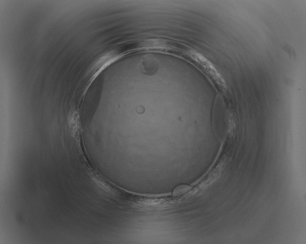 X0000116281369200912291345