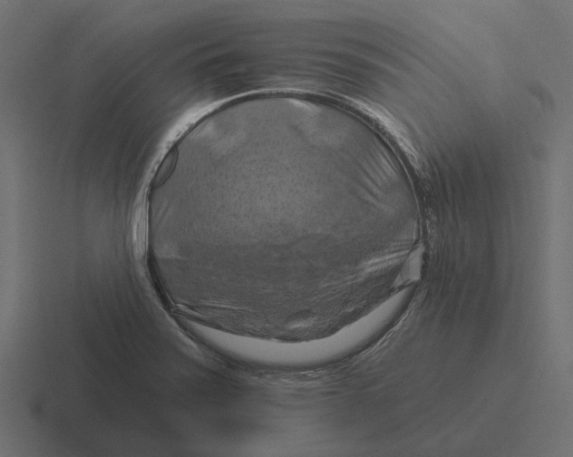 X0000116281371200912291344