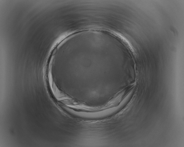X0000116281373200912291344
