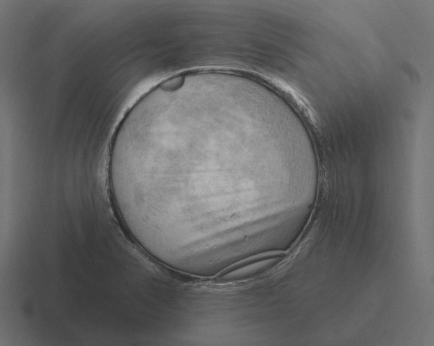 X0000116281374200912291344
