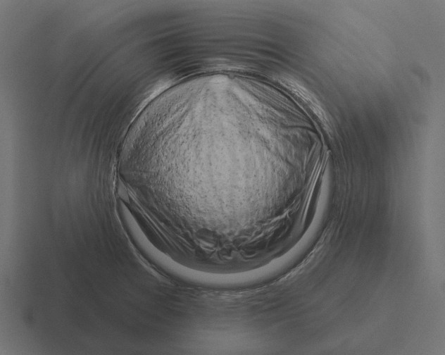 X0000116281377200912291344