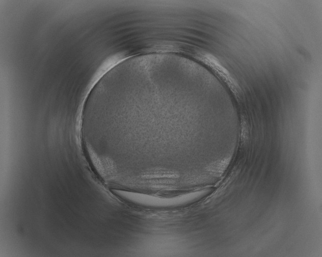X0000116281378200912291344