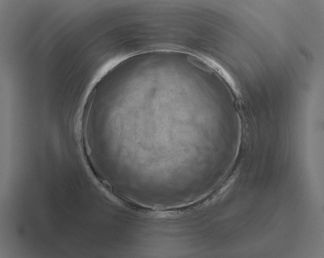 X0000116281381200912291344