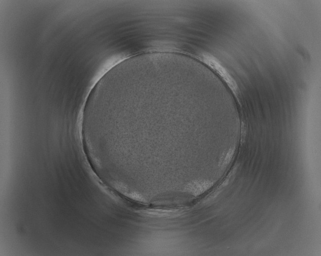 X0000116281386200912291344