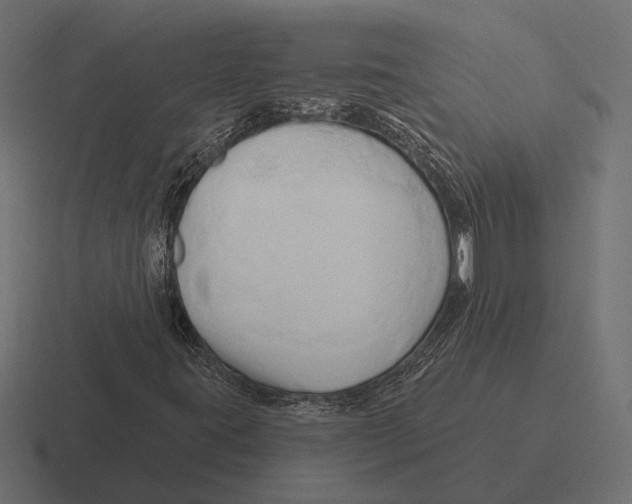 X0000116281395200912291344