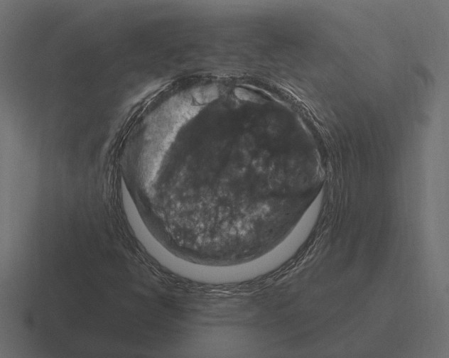 X0000116281398200912291344