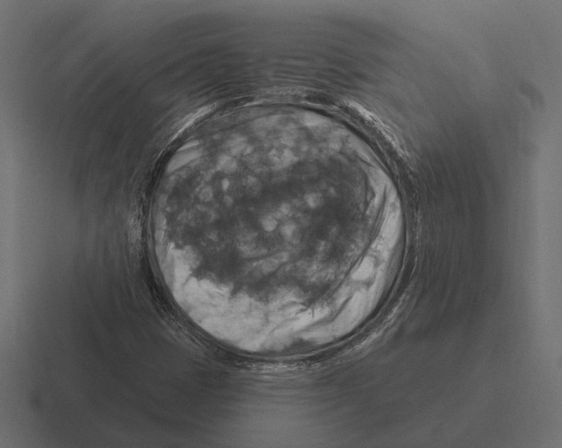 X0000116281401200912291344