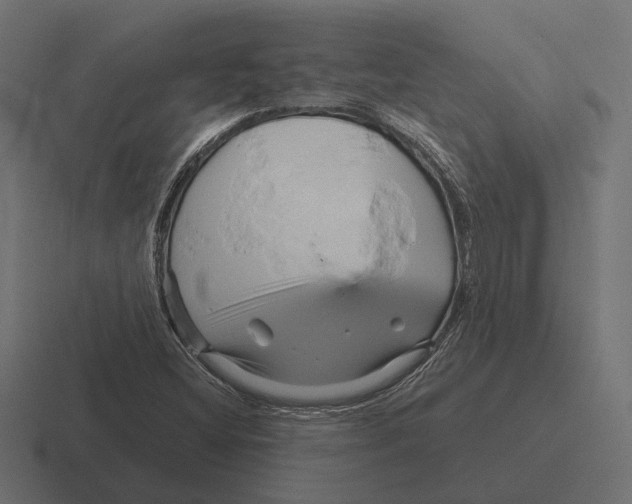 X0000116281404200912291344