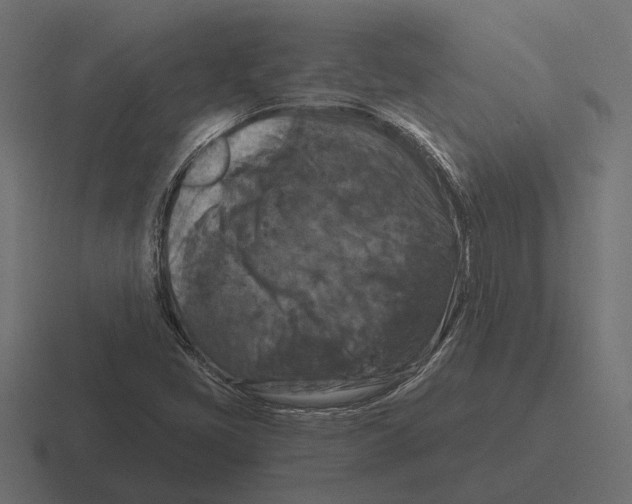 X0000116281405200912291344
