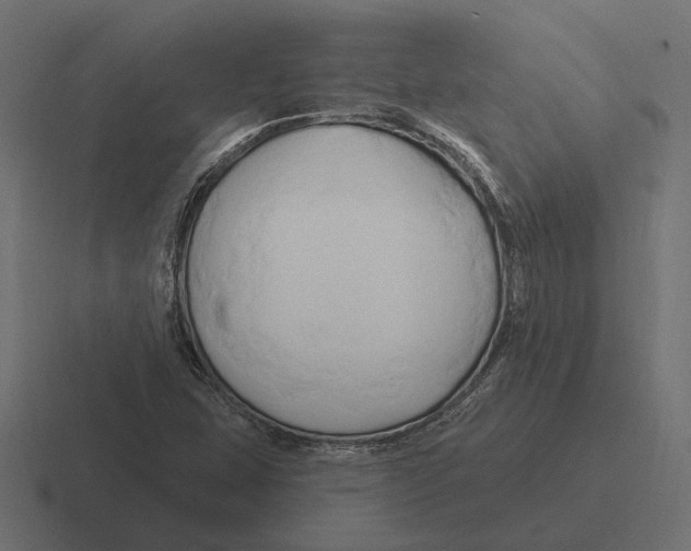 X0000116281407200912291344