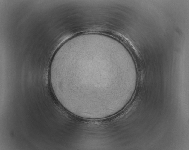 X0000116281409200912291344