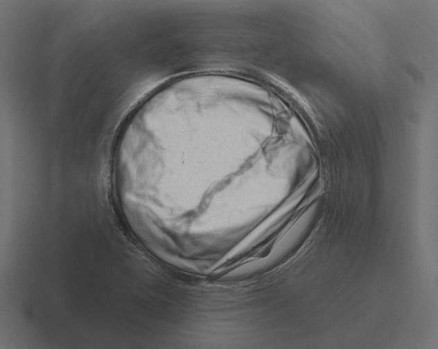 X0000116281415200912291344