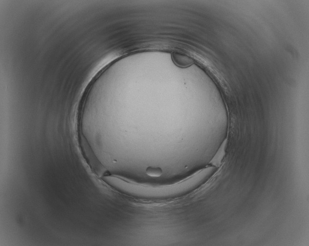X0000116281426200912291344