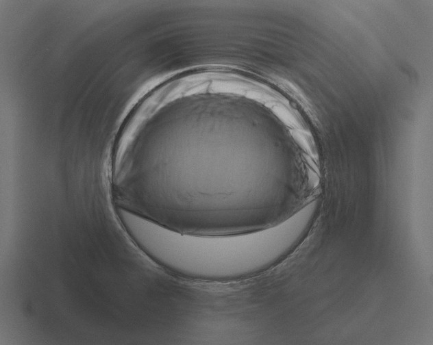 X0000116281428200912291344