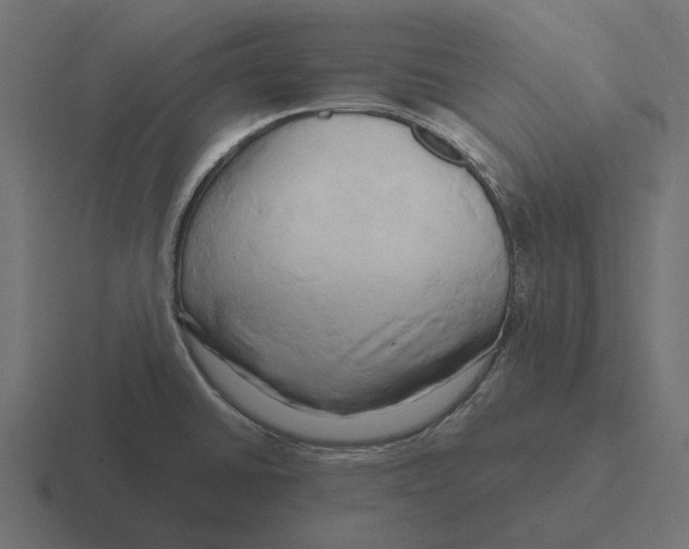 X0000116281430200912291344