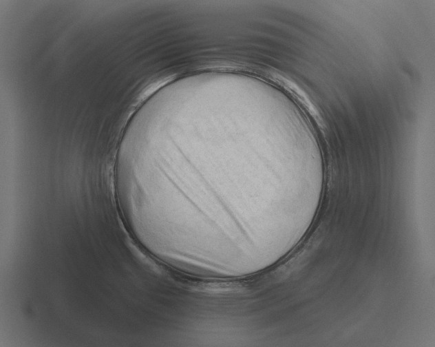 X0000116281433200912291344
