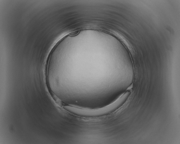 X0000116281434200912291344