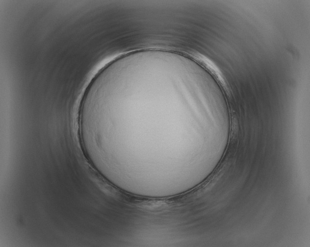 X0000116281435200912291344