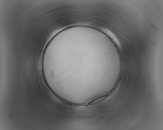 X0000116281436200912291344