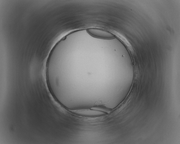 X0000116281439200912291344
