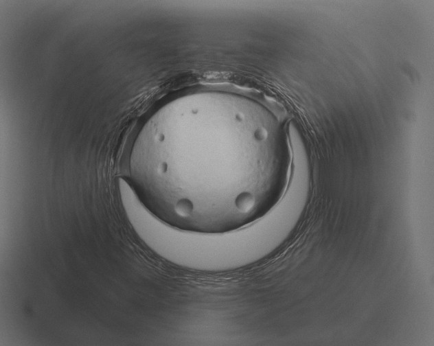 X0000116281443200912291344