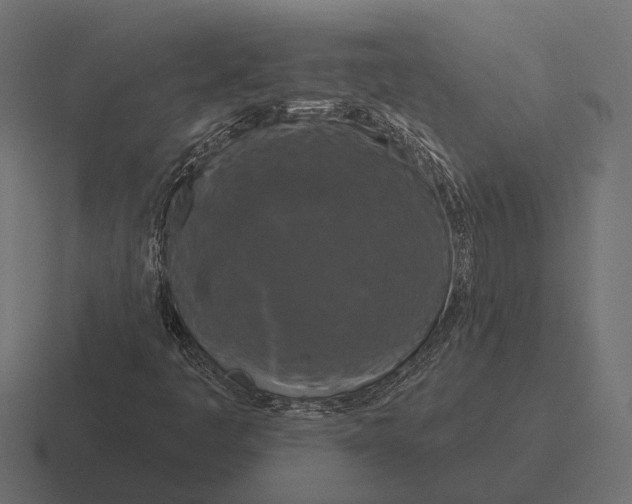 X0000116281445200912291344