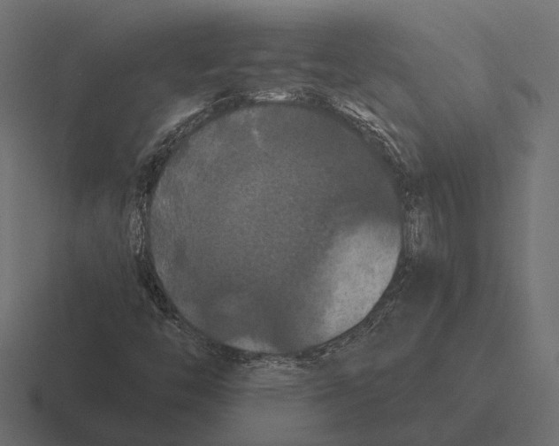 X0000116281446200912291344