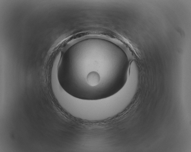 X0000116281448200912291344