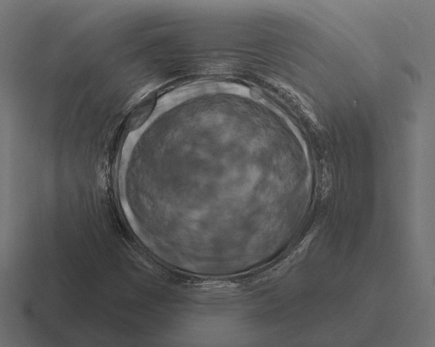 X0000116281449200912291344