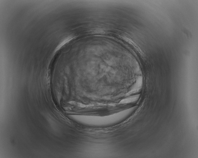X0000116281450200912291343
