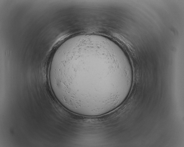 X0000116281451200912291343