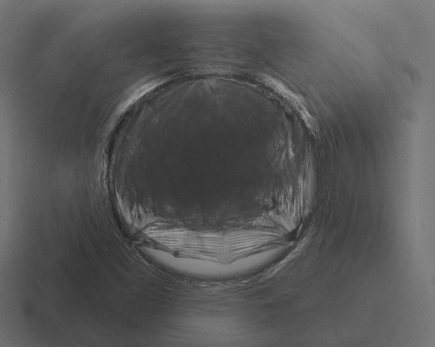 X0000116281453200912291343