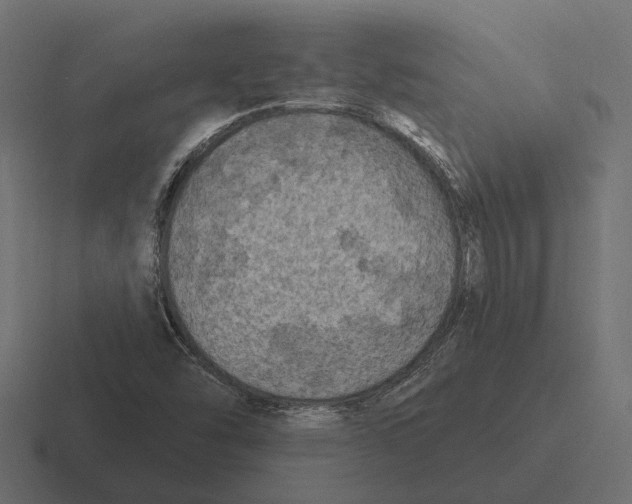 X0000116281454200912291343