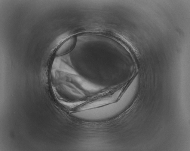 X0000116281455200912291343
