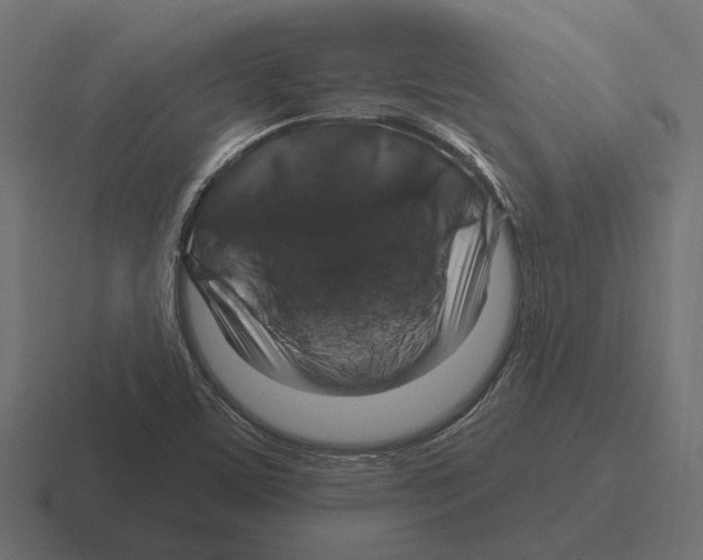 X0000116281459200912291343