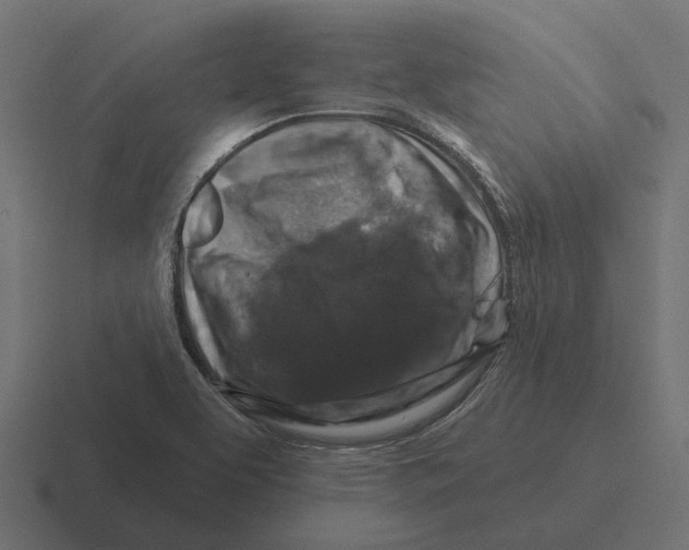 X0000116281463200912291343